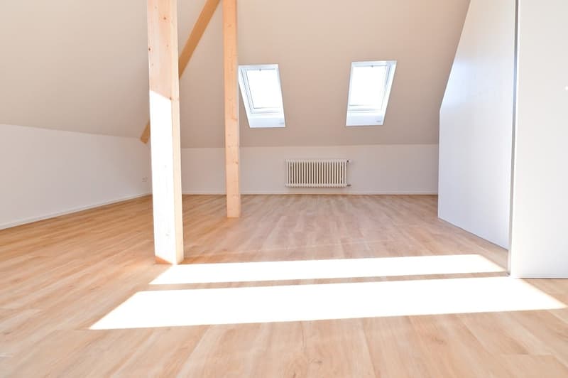 Charming 2.5-Room Apartment in Bern's Breitenrain Quarter (5)
