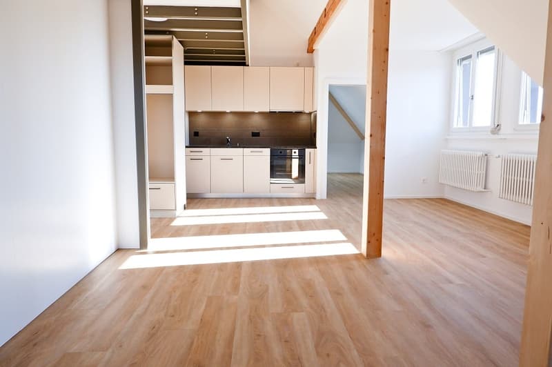 Charming 2.5-Room Apartment in Bern's Breitenrain Quarter (2)