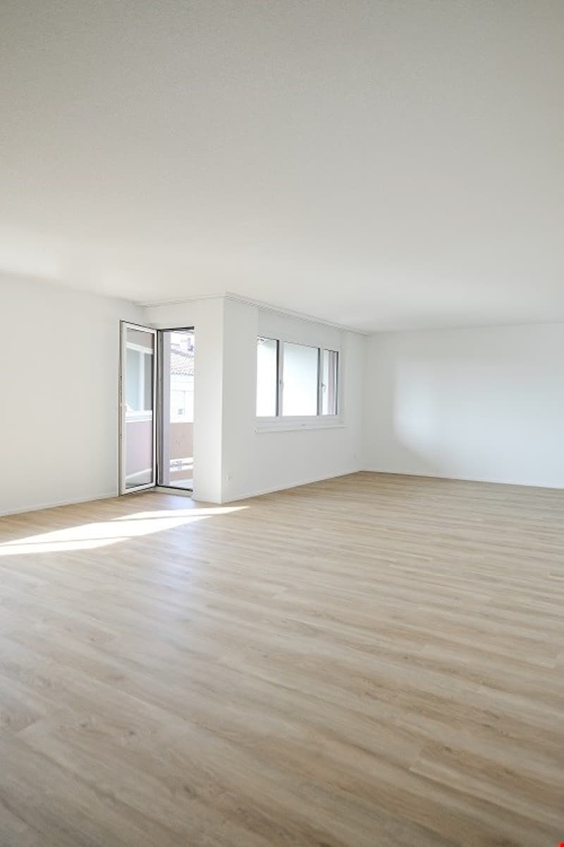 Sonnige, grosszügige und totalsanierte Wohnung (4)