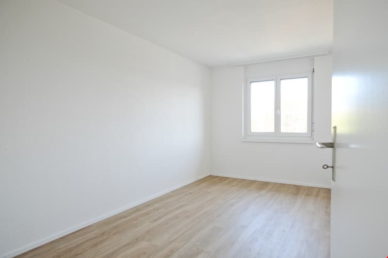 Sonnige, grosszügige und totalsanierte Wohnung (10)