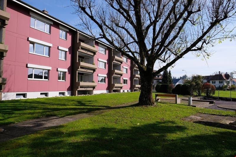 Sonnige, grosszügige und totalsanierte Wohnung (15)