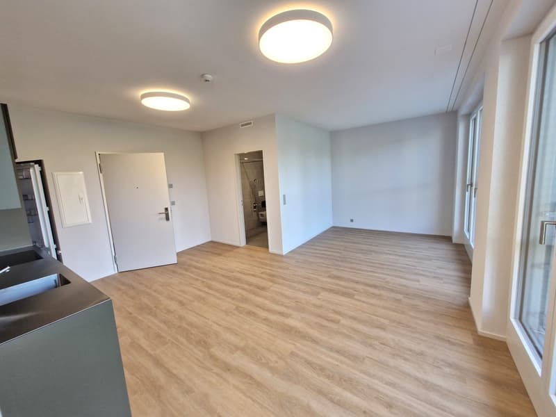 Büro- oder Praxisräume (7)