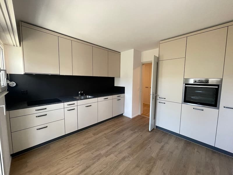 sanierte Wohnung in wunderschöner Solothurner Vorstadt (1)