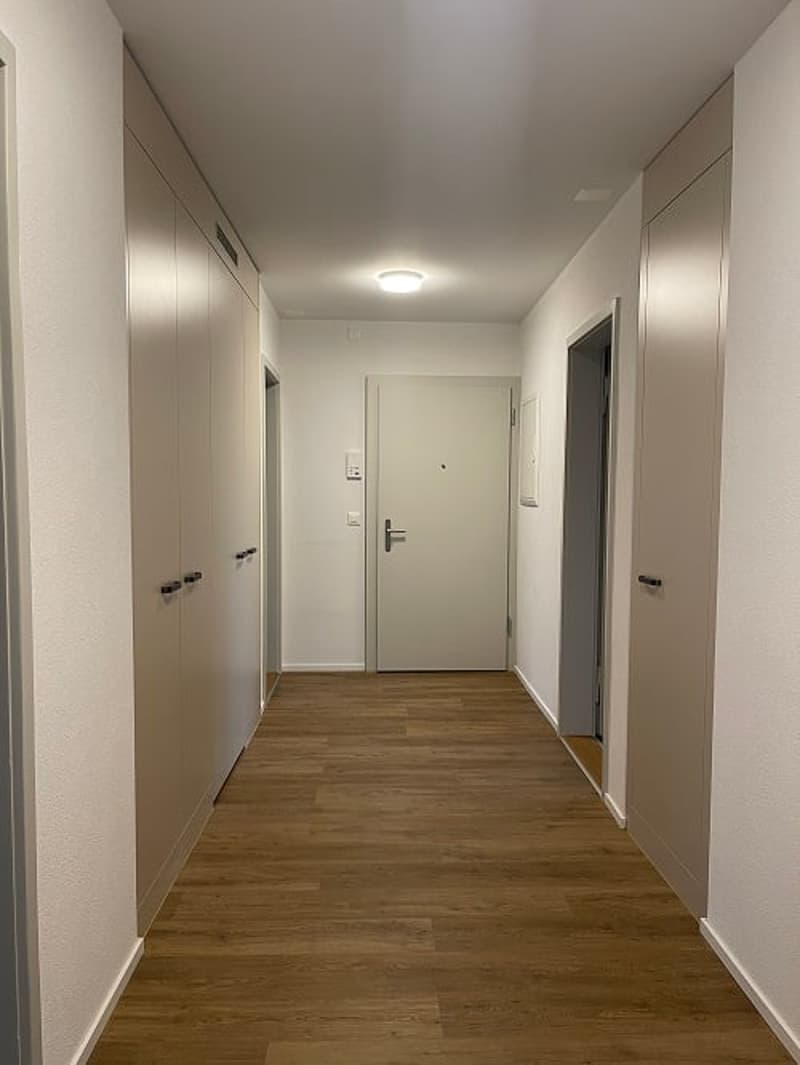 sanierte Wohnung in wunderschöner Solothurner Vorstadt (4)