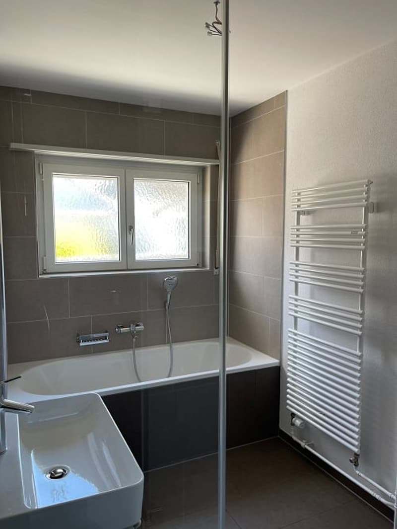 sanierte Wohnung in wunderschöner Solothurner Vorstadt (6)