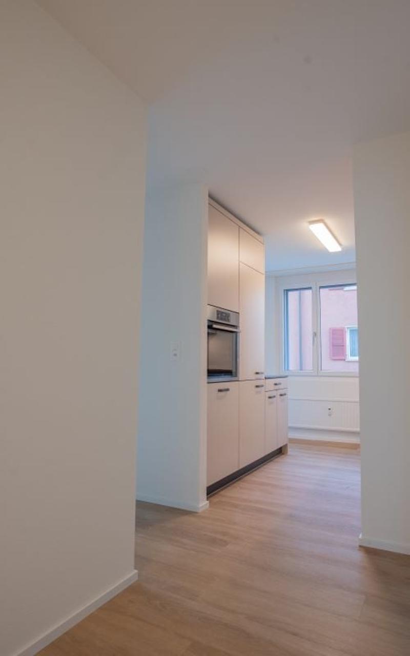Sanierte Wohnung mit grosser Terrasse zu vermieten (9)