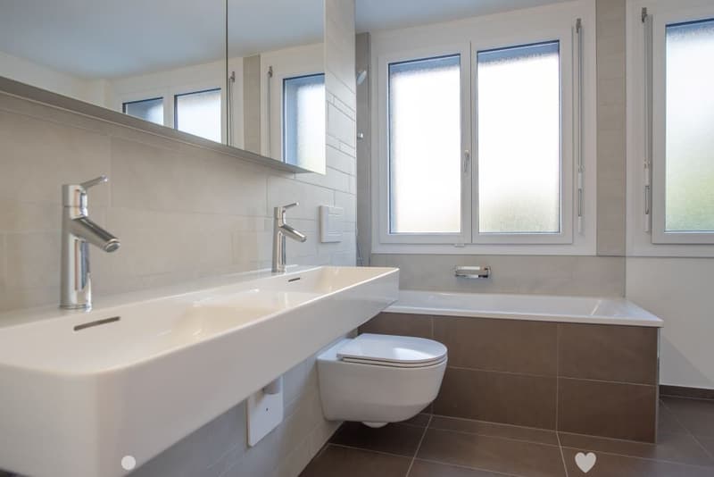 Sanierte Wohnung mit grosser Terrasse zu vermieten (3)
