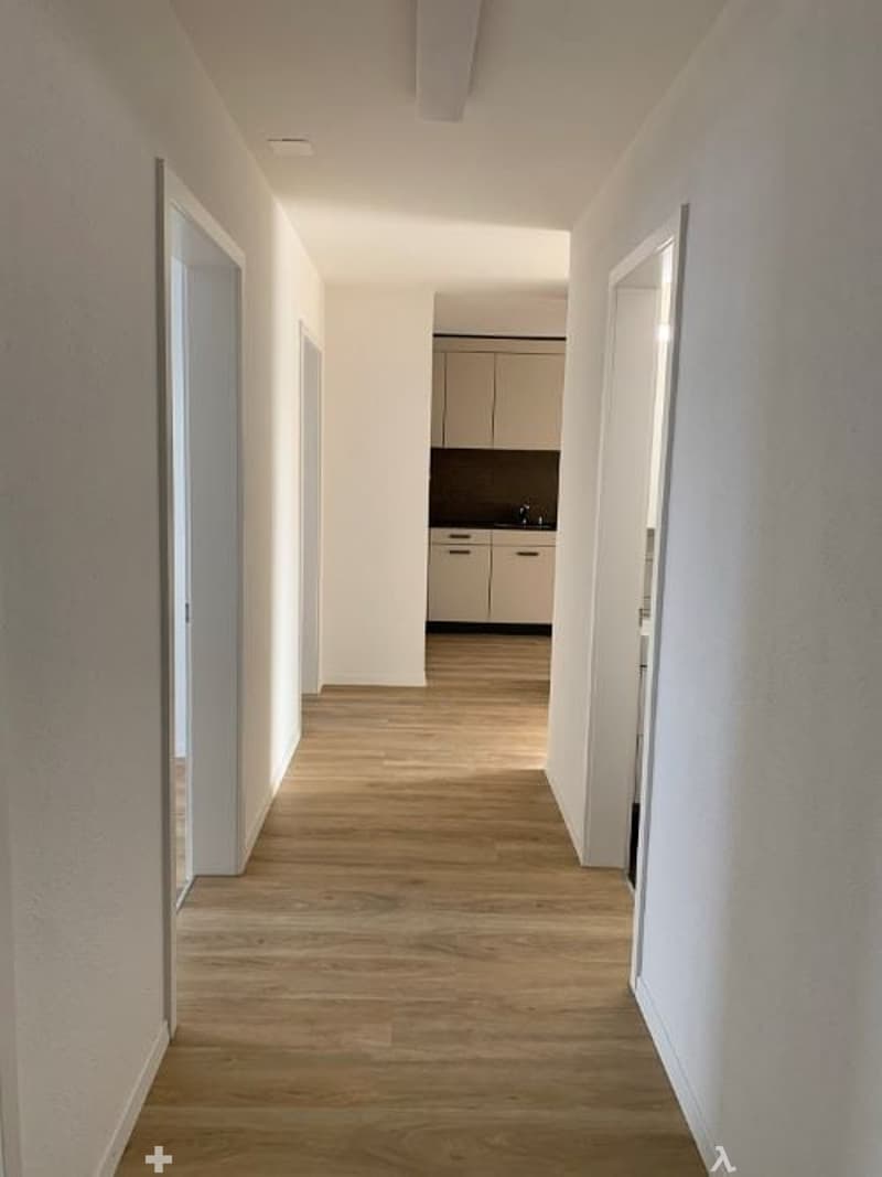 Sanierte Wohnung in Biel zu vermieten (5)