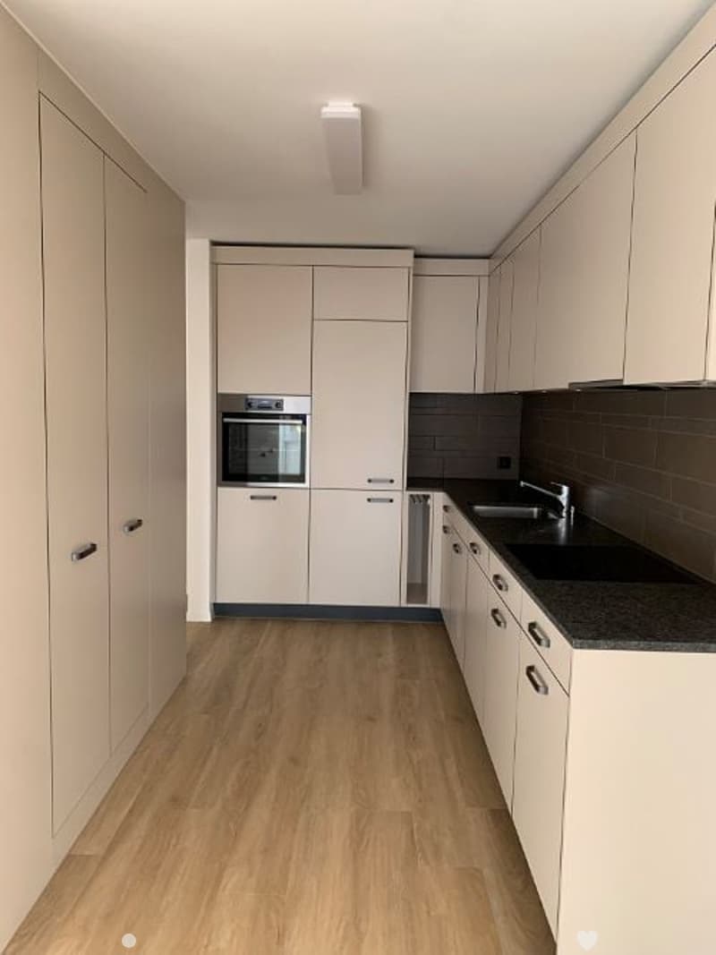 Sanierte Wohnung in Biel zu vermieten (1)