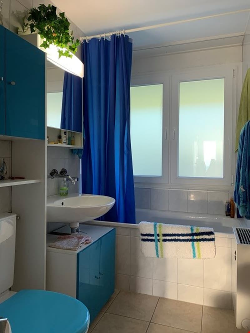 Wir vermieten eine 3.5 - Zimmerwohnung mit 2 Balkonen (8)
