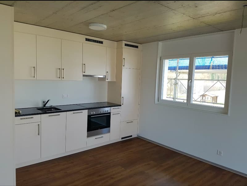Charmante 2.5- Zimmerwohnung (4)