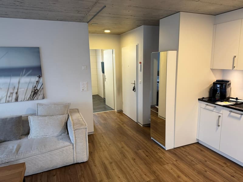 Charmante 2.5- Zimmerwohnung (1)