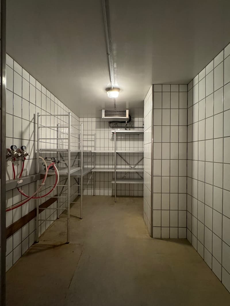 Tidy room with white tiled walls, white ceiling, white and beige tiled floor, two long metallic shelves on one side, mounted air conditioner, metallic pipes on the wall, ceiling light
