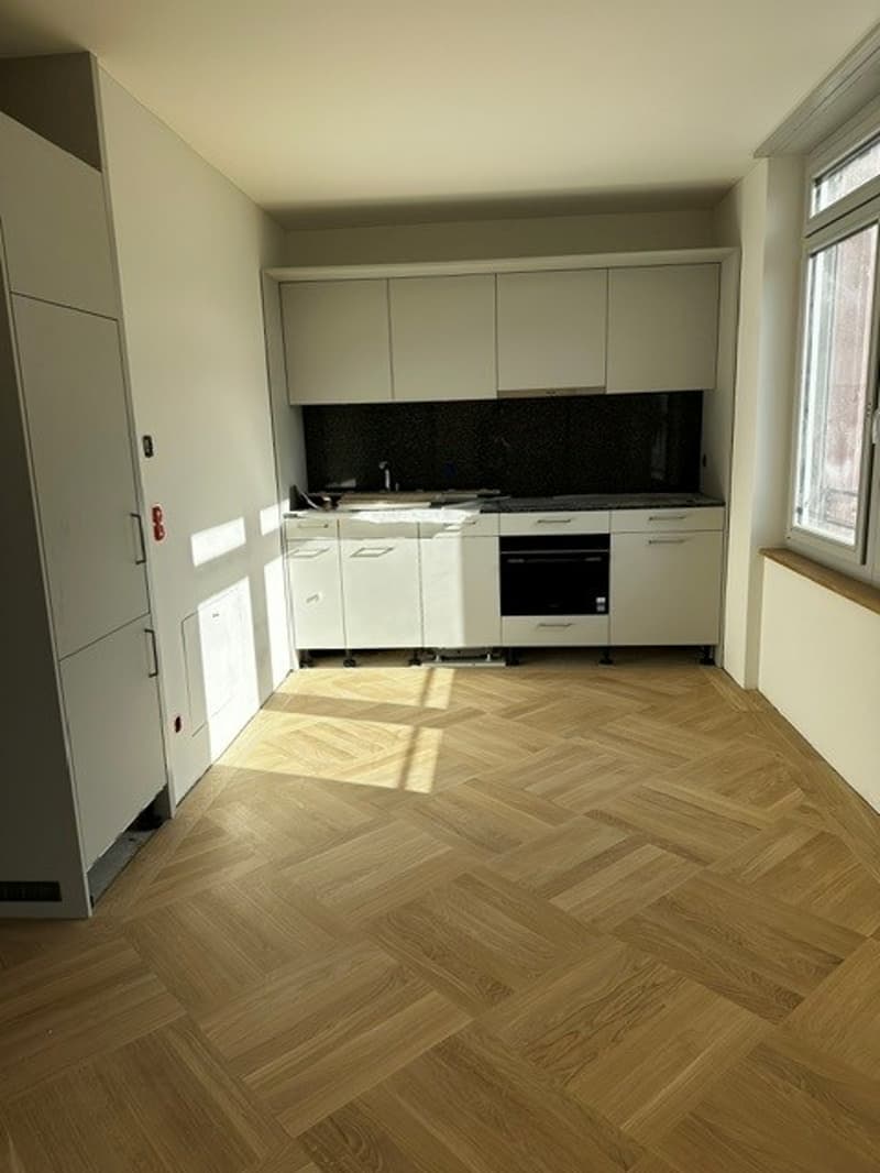 Erstvermietung "Wohnen am Idaplatz" in Zürich-Wiedikon (1)