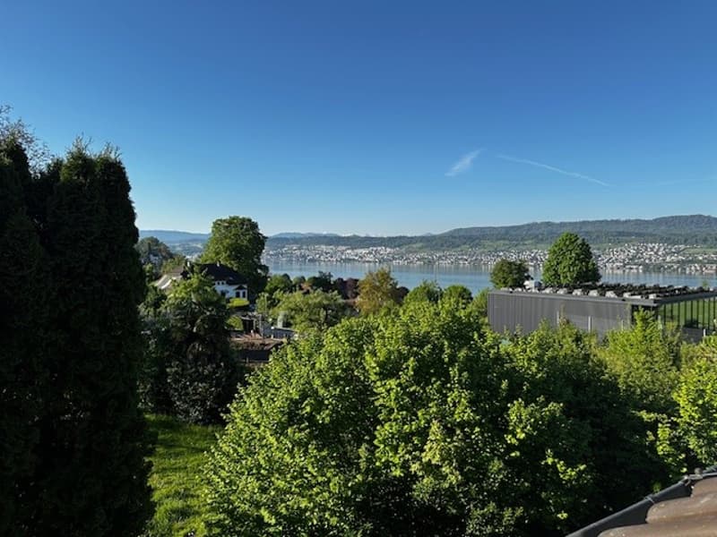 View of the city from the garden, trees, mountain, lake, buildings in the distance.