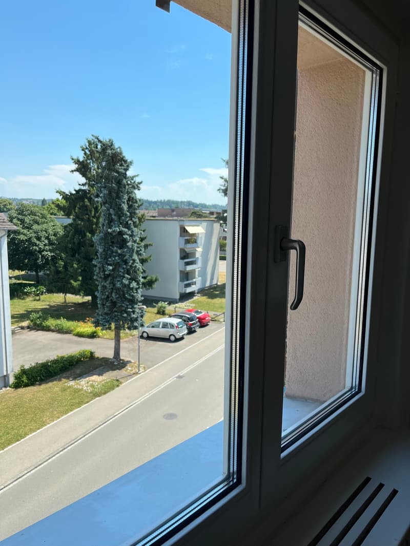 1.0-Zimmer-Dachwohnung im Grünen (9)