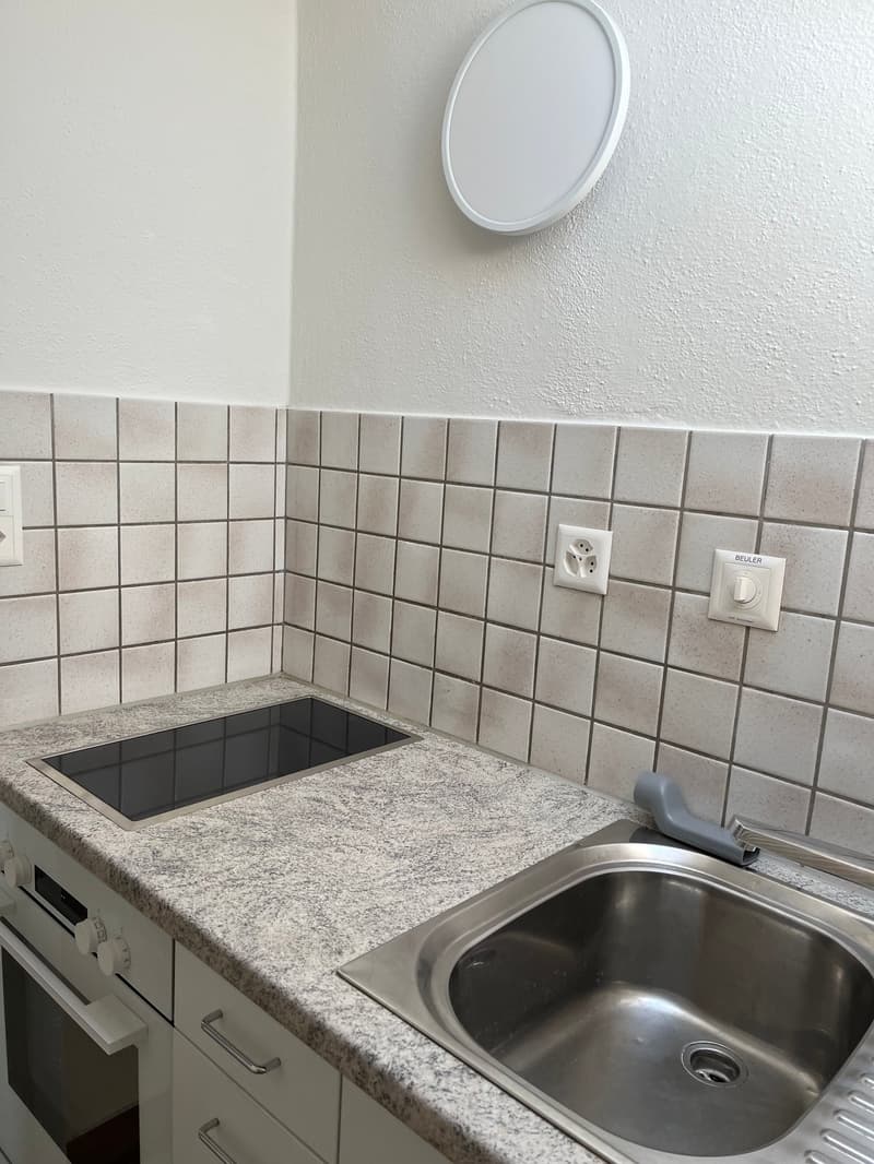 1.0-Zimmer-Dachwohnung im Grünen (2)