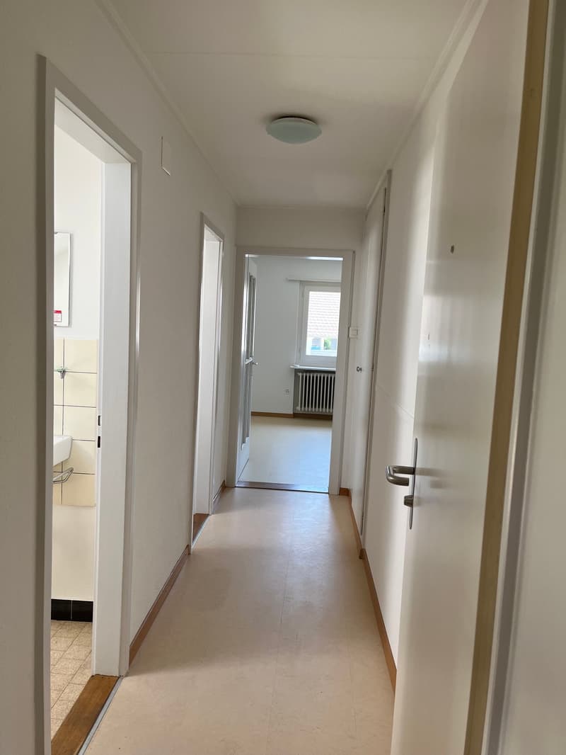 1.0-Zimmer-Dachwohnung im Grünen (6)