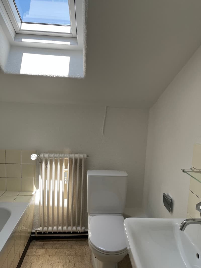 1.0-Zimmer-Dachwohnung im Grünen (5)