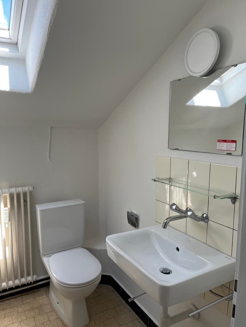 1.0-Zimmer-Dachwohnung im Grünen (4)