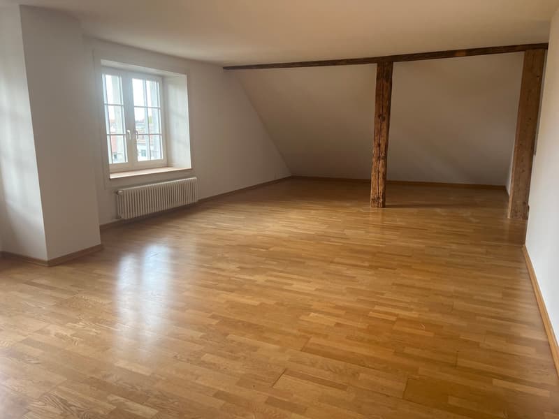 Aussgergewöhnlich Wohnen im historischen Gebäude "Zum Anker" in Erlenbach (5)