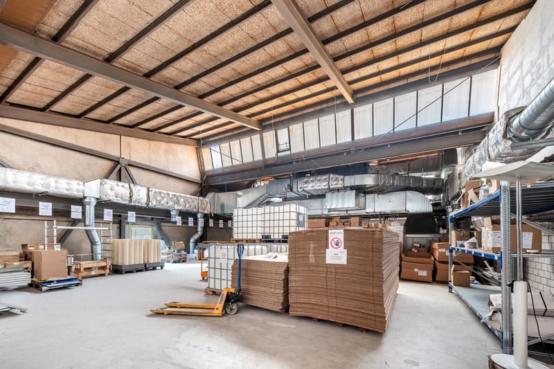 Halle industrielle pour usage propre - idéale pour la production ou la logistique (8)