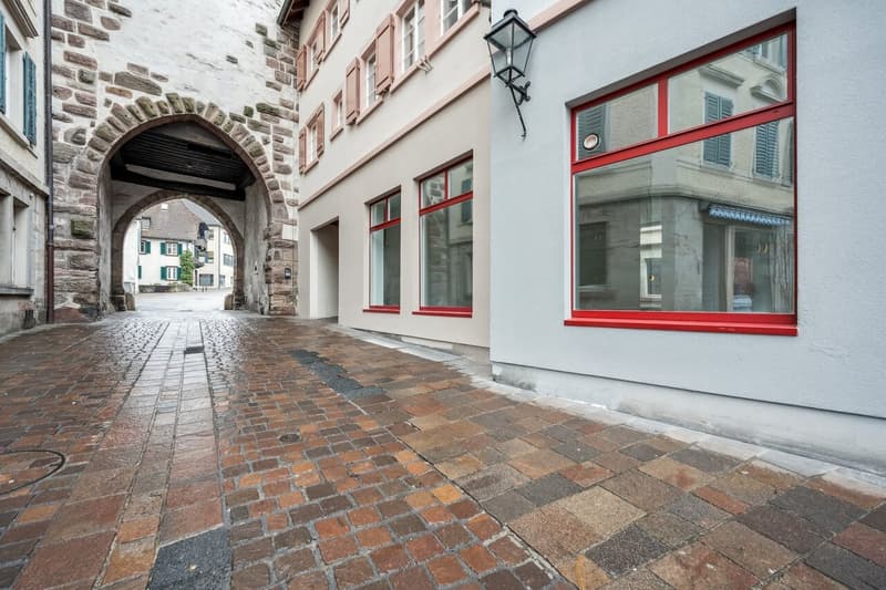 Porte du succès : espace commercial à la tour historique d'Obertor Rheinfelden (3)