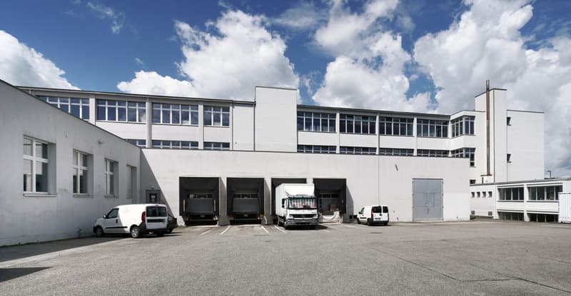Ampio spazio commerciale e di magazzinaggio (3)