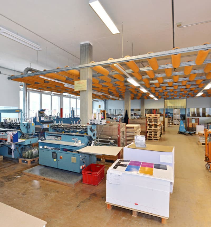 Ampio spazio commerciale e di magazzinaggio (4)