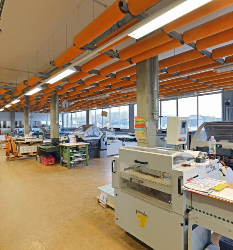 Ampio spazio commerciale e di magazzinaggio (5)