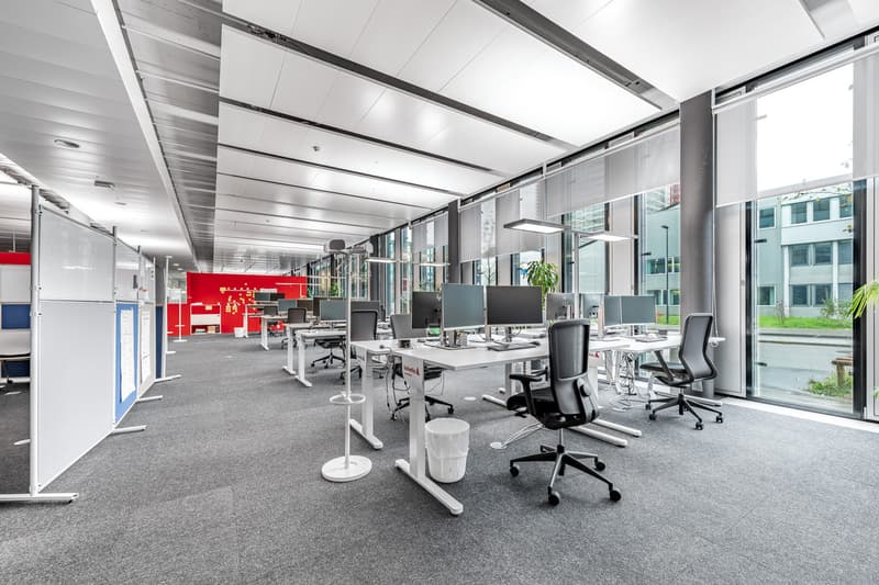 Büro 490m2