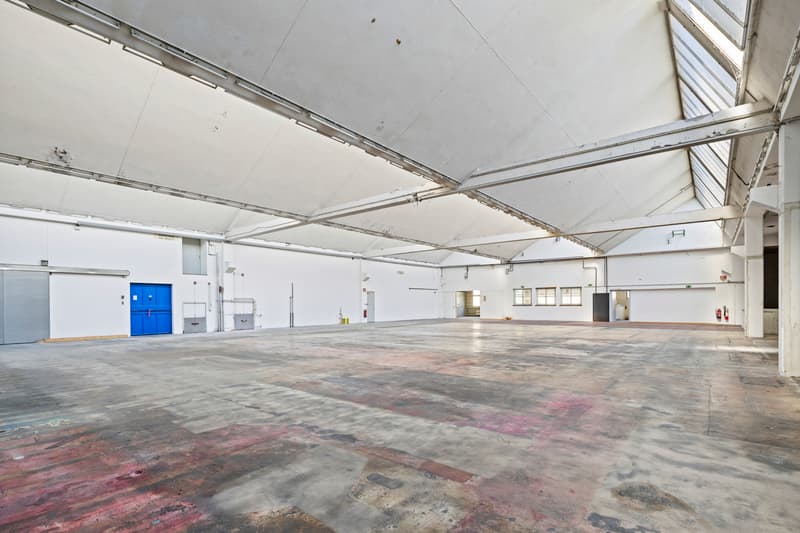 Produktion, Lager & Logistik sowie Büro über 18'500 m² (8)