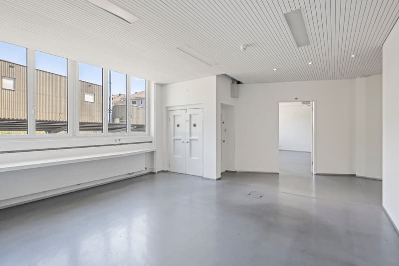 Produktion, Lager & Logistik sowie Büro über 18'500 m² (13)