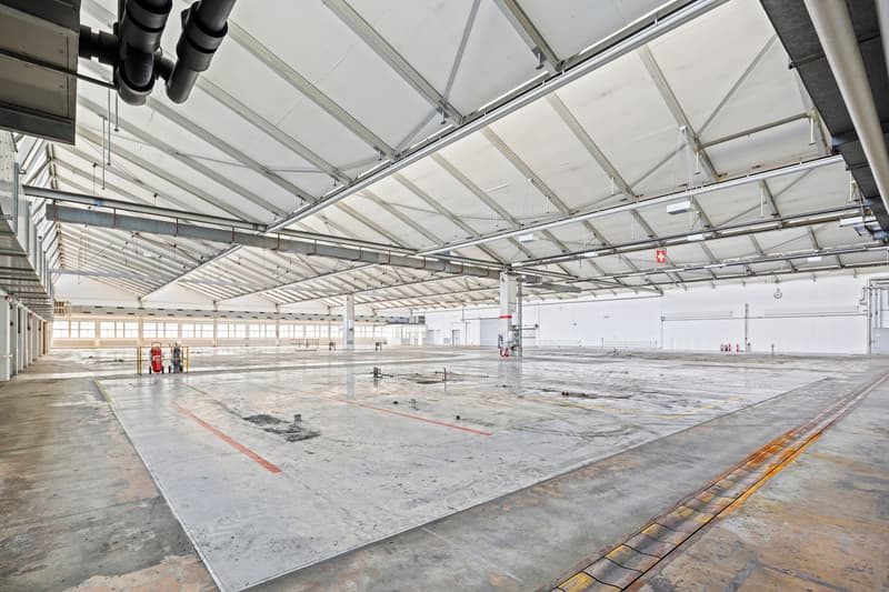 Produktion, Lager & Logistik sowie Büro über 18'500 m² (4)
