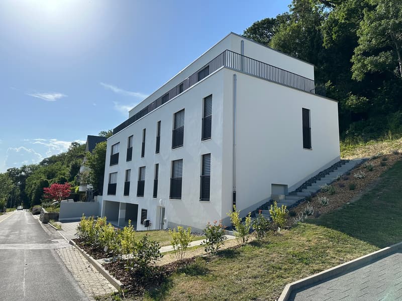 Design trifft Wohnqualität - exklusive Neubauwohnung mit Kochinsel und durchdachtem Grundriss (2)
