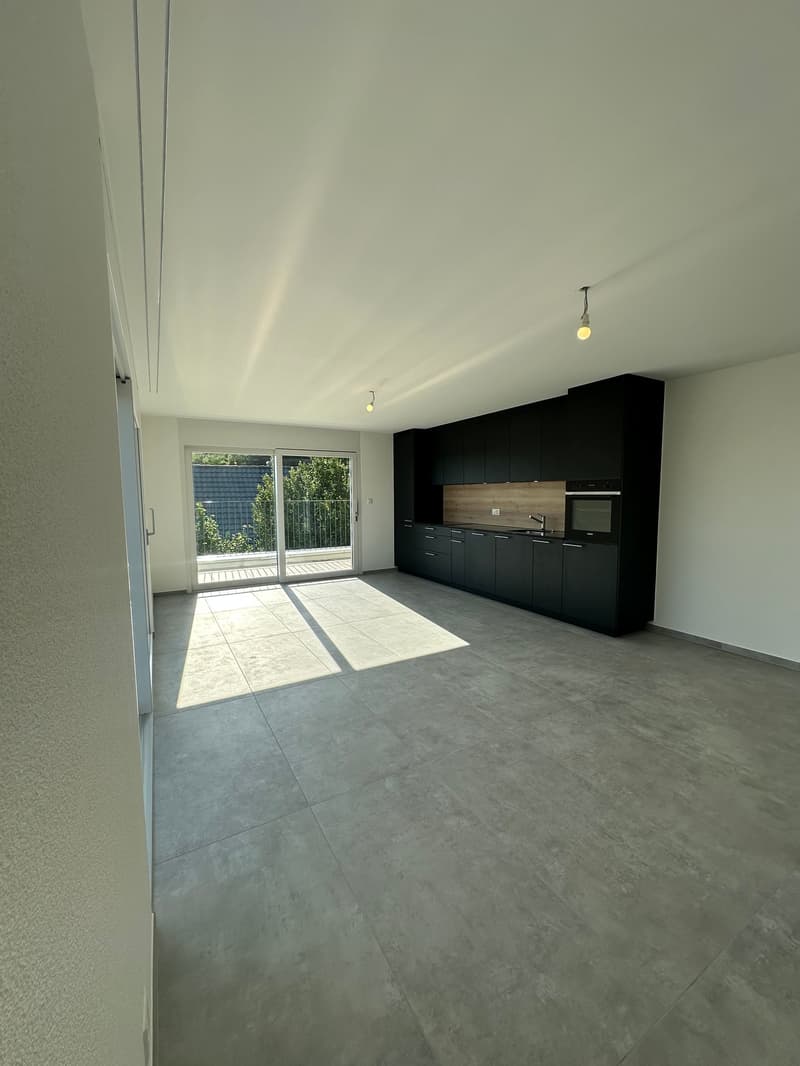 Exklusives Attika-Wohnerlebnis – direkter Liftzugang, spektakuläre Aussicht und grosszügige Terrasse (5)