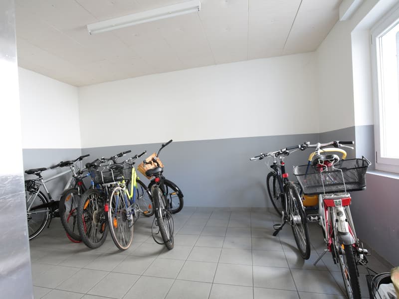 Helle 2.5-Zimmer-Wohnung mit Balkon und Lift nähe Biozentrum/Unispital (15)