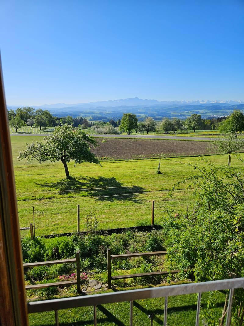Panoramablick mit Privatsphäre (11)