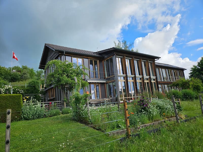 Panoramablick mit Privatsphäre (1)