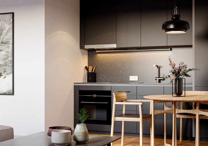 moderne 1.5 Zimmerwohnung in St. Gallen (2)