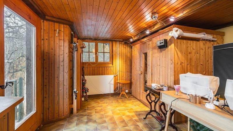 Chalet typique de la vallée d'Illiez (7)