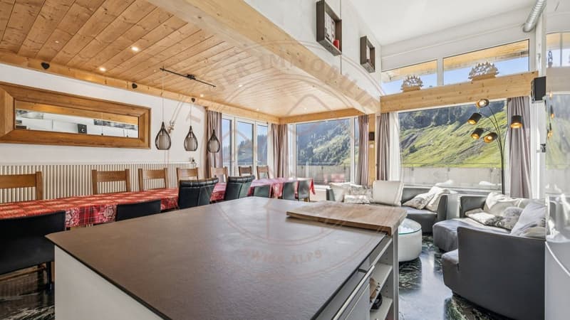 Grand triplex avec accès direct aux pistes aux Crosets (3)