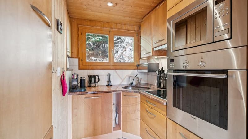 Charmant chalet sur hauteurs de Morgins (3)