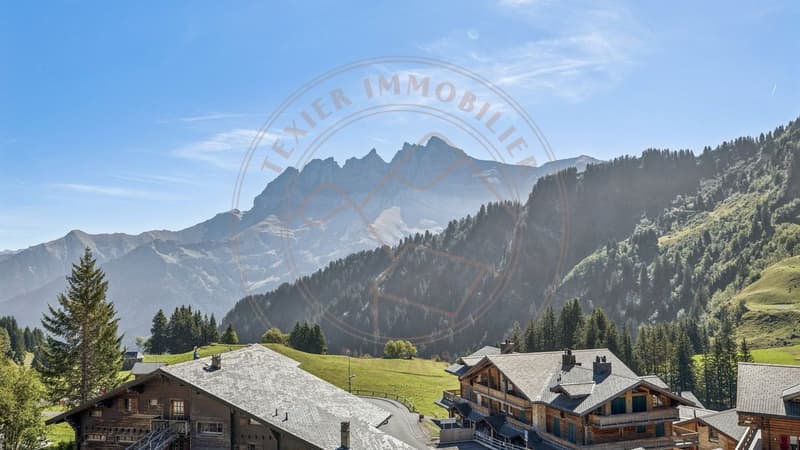 Grand triplex avec accès direct aux pistes aux Crosets (2)