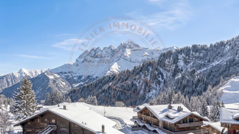 Grand triplex avec accès direct aux pistes aux Crosets (1)