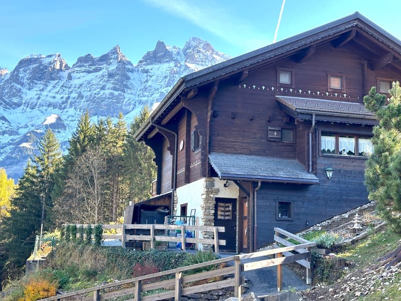 Chalet style house, wooden exterior, steep roof, set on slope, surrounded by greenery, mountains in the background