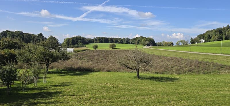 Aussicht in die Natur