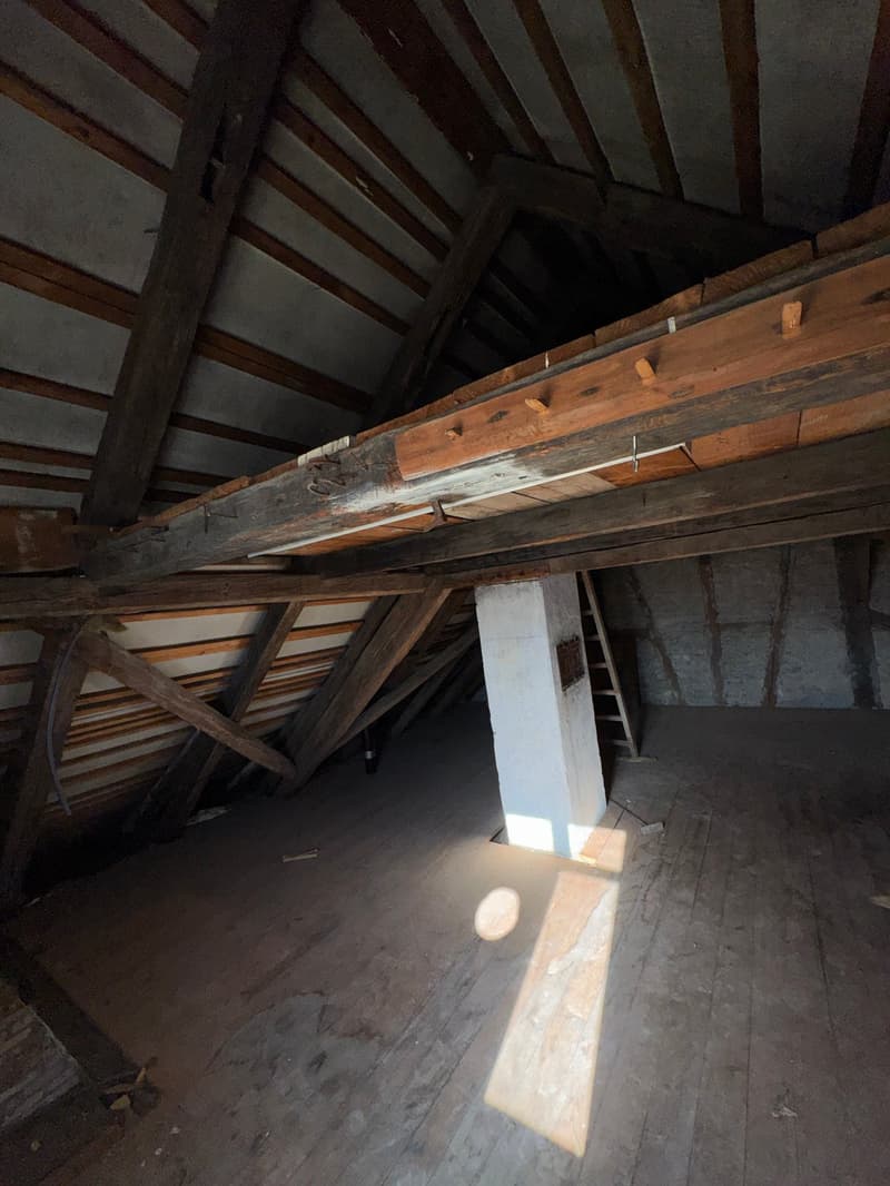 Charmantes Mehrfamilienhaus mit Seesicht in Schmerikon (38)