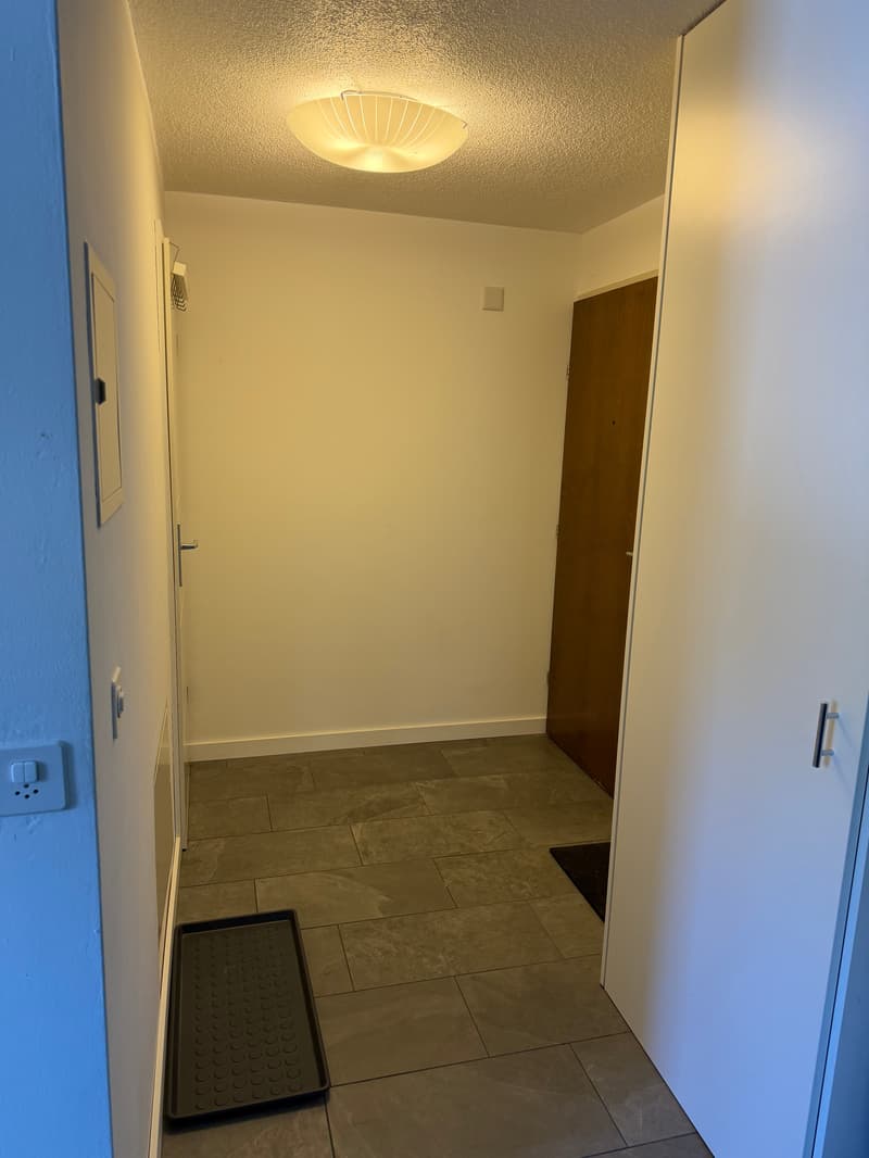 Charmant appartement 2.5 pièces avec vue de rêve à Beatenberg (4)