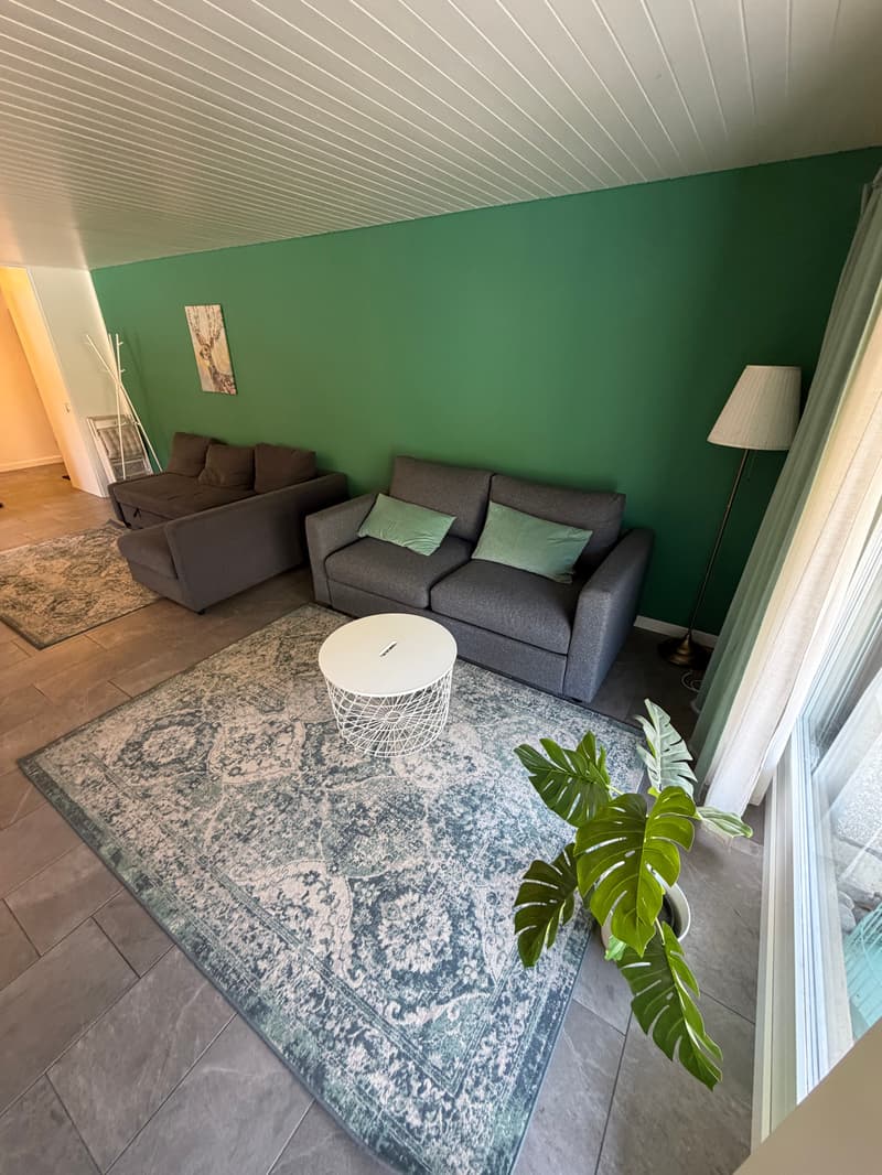 Charmant appartement 2.5 pièces avec vue de rêve à Beatenberg (8)